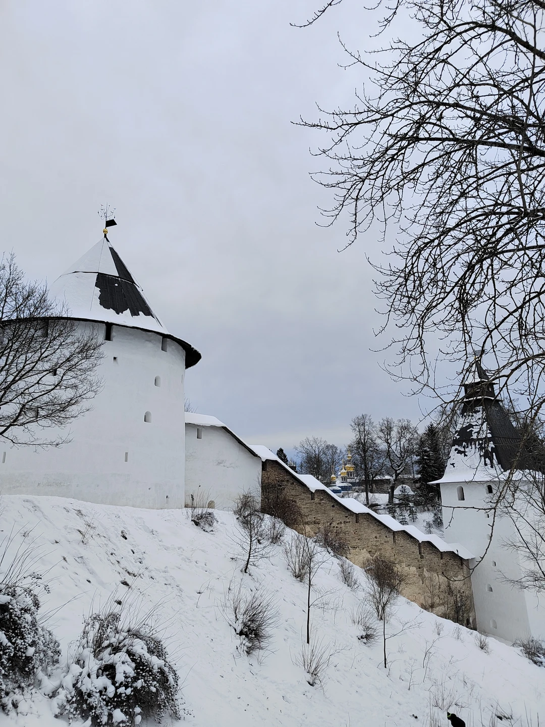 Никита очень эрудированный человек, знаток своего дела! А Елена с отличным чувством юмора и хороший водитель