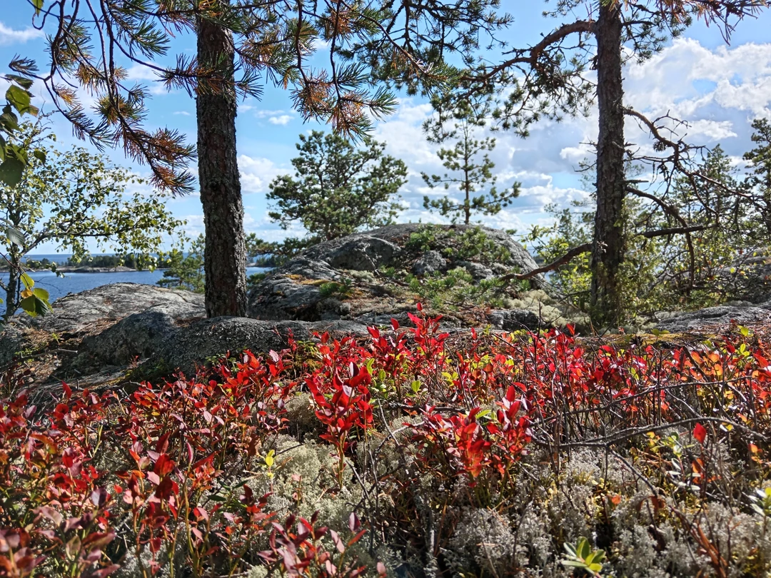 Место силы Карелии (Татьяна)