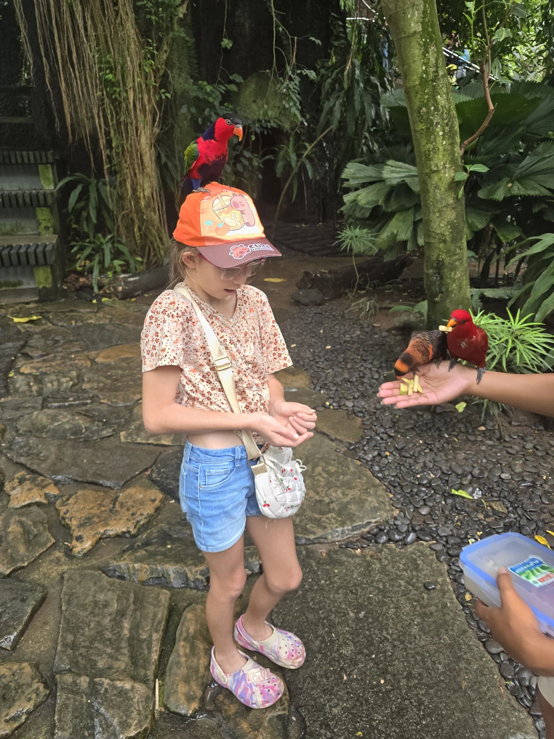 Сила - потрясающий гид. Очень интересный тур по Бали, увидели все самые лучшие места за один день, все очень понравилось, спасибо большое