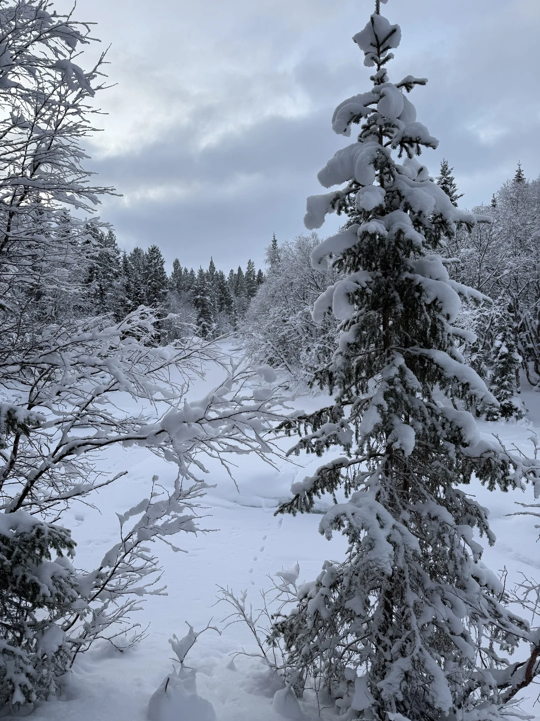 Оксана, спасибо большое! Особенно за сюрприз на день рождения жены и за помощь в розыгрыше! Просто все было супер!