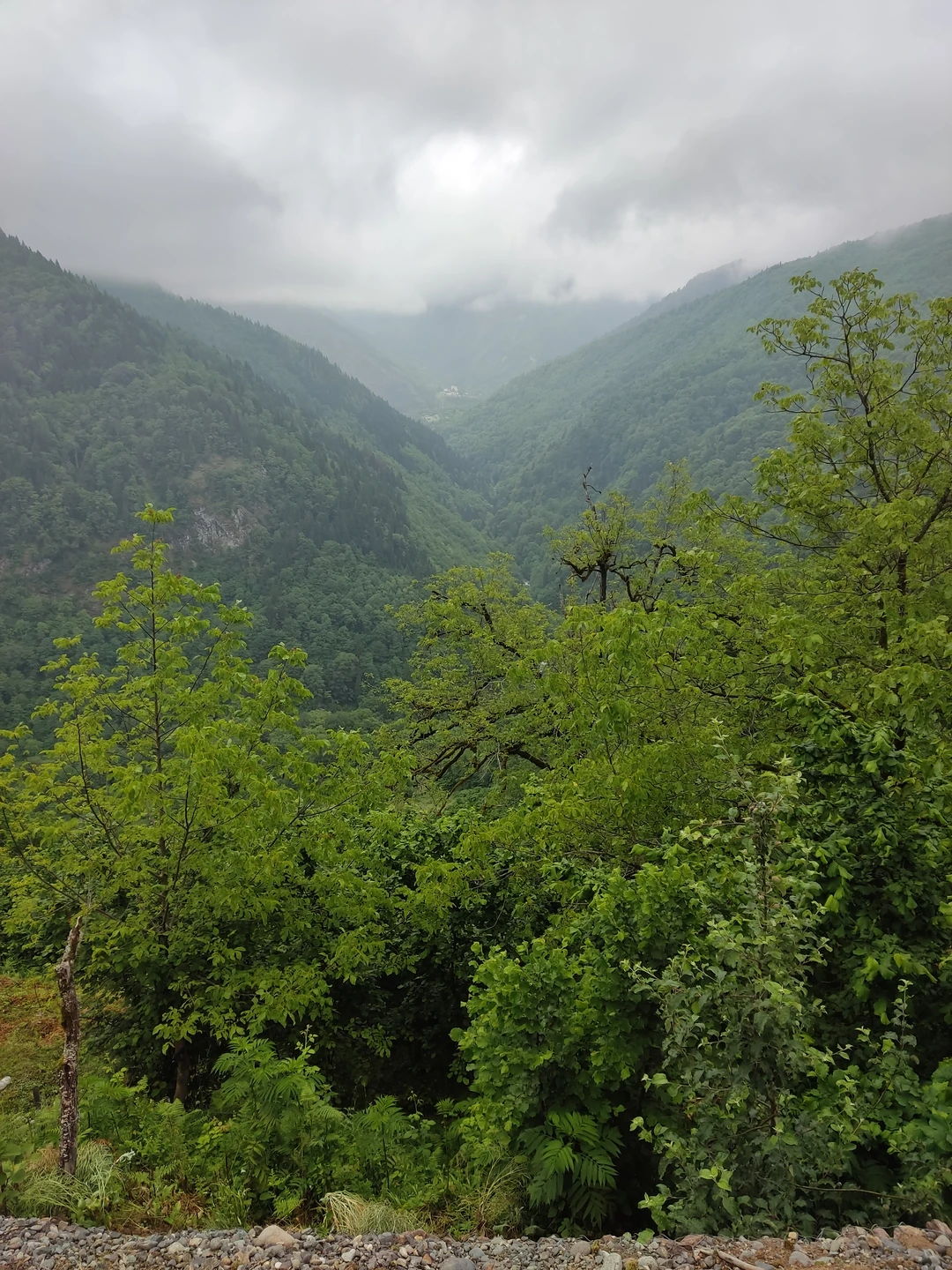 Очень понравилось. Очень содержательно и интересно. Рекомендую