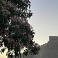 Фото отзыва 1: экскурсия "Детально о Бухаре"