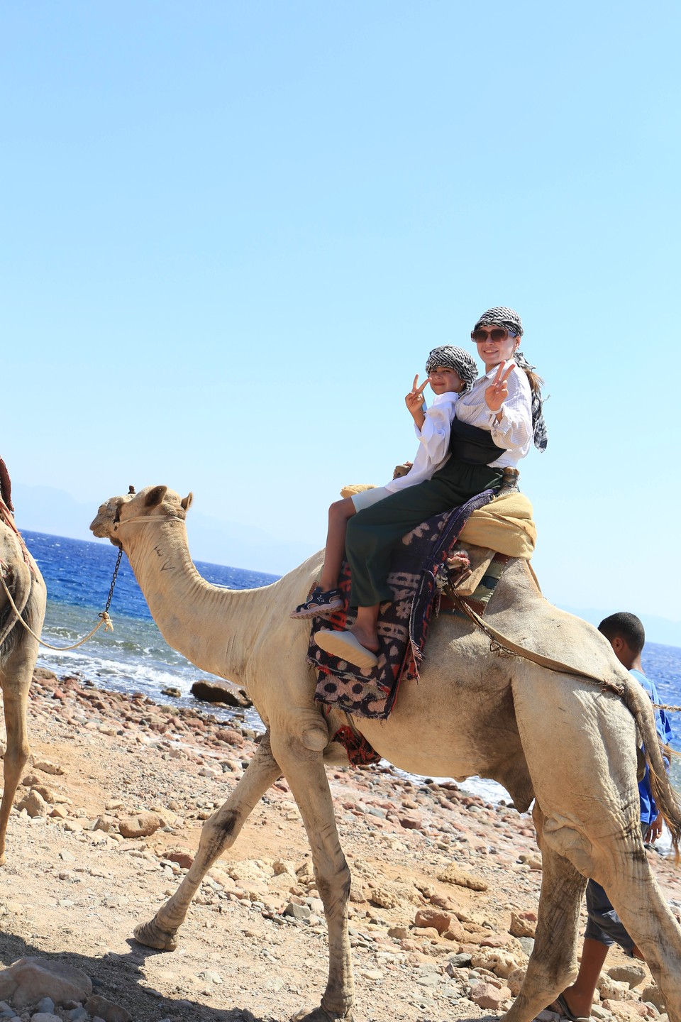 Были с дочкой на экскурсии,сентябрь 2024г. Экскурсия понравилась,дочка испугалась течения на коралловом рифе,гид пытался ее успокоить