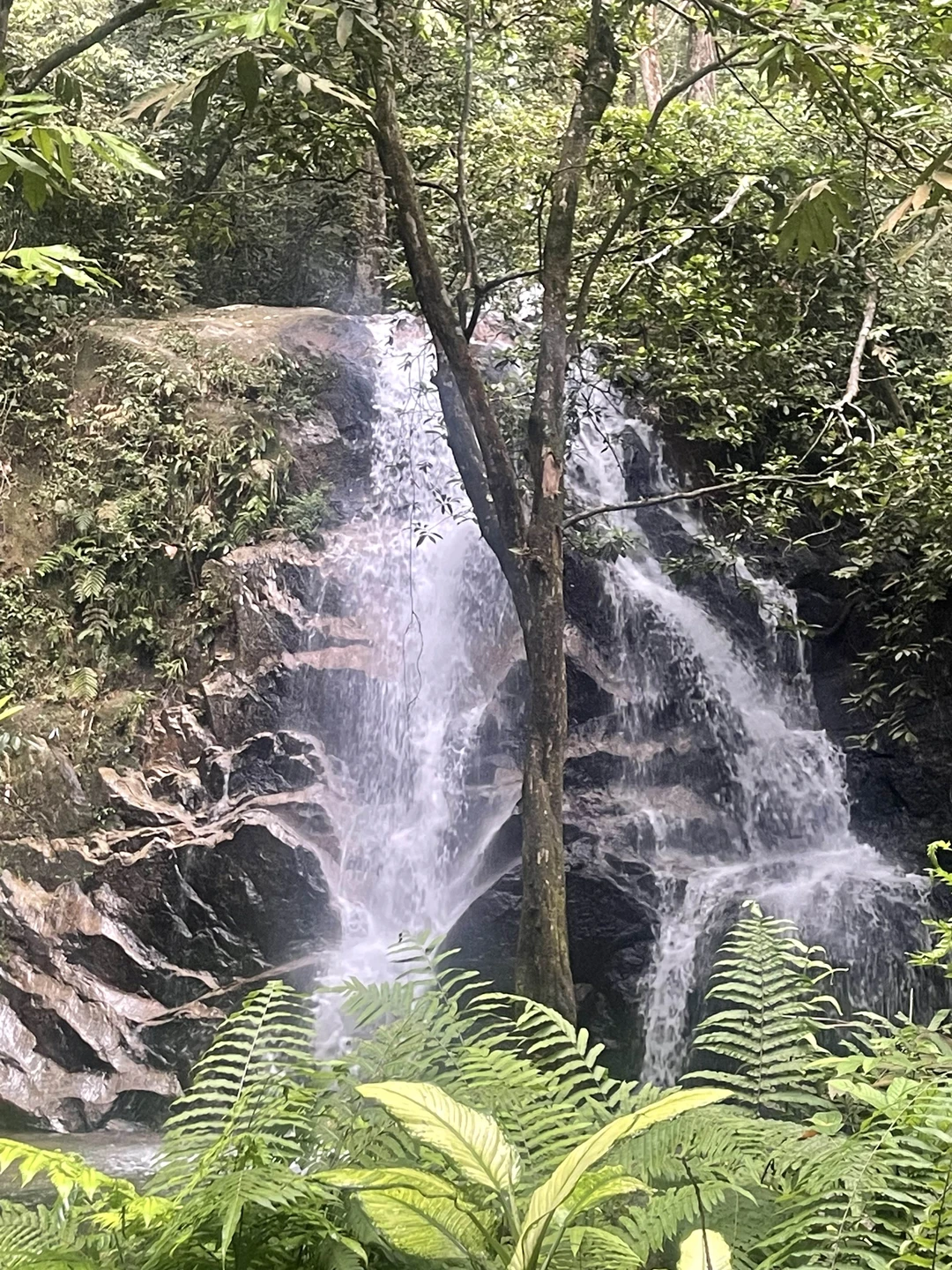 Потрясающая экскурсия!