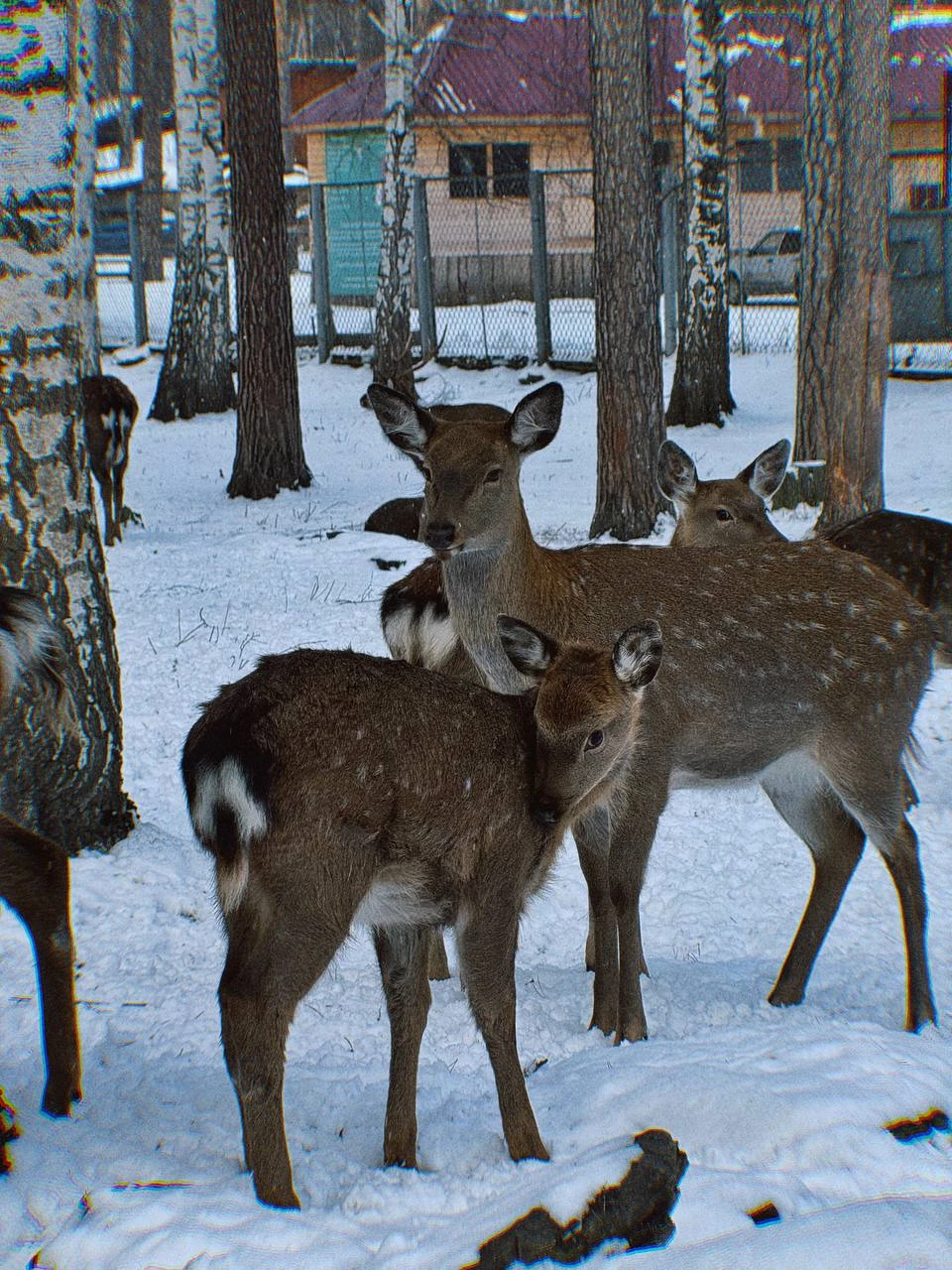 Начну с положительных моментов. Было интересно, красиво. Гид Линар много знает, с ним было комфортно. Видно,