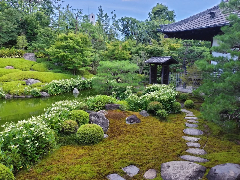 Открывая Киото