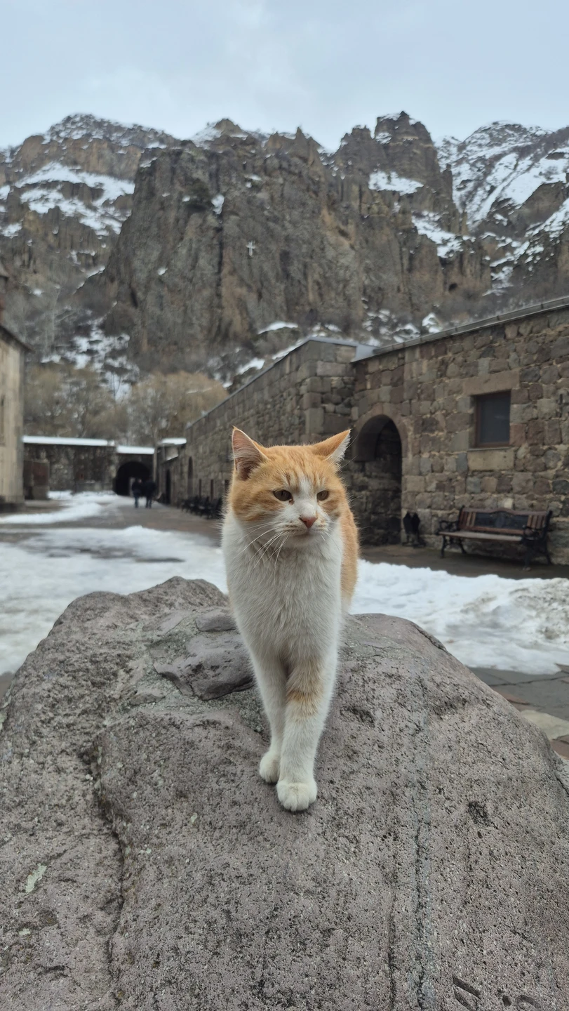 Ребят! Это одна из лучших экскурсий у вас. Все настолько интересно и круто,что нет слов. Единственное.