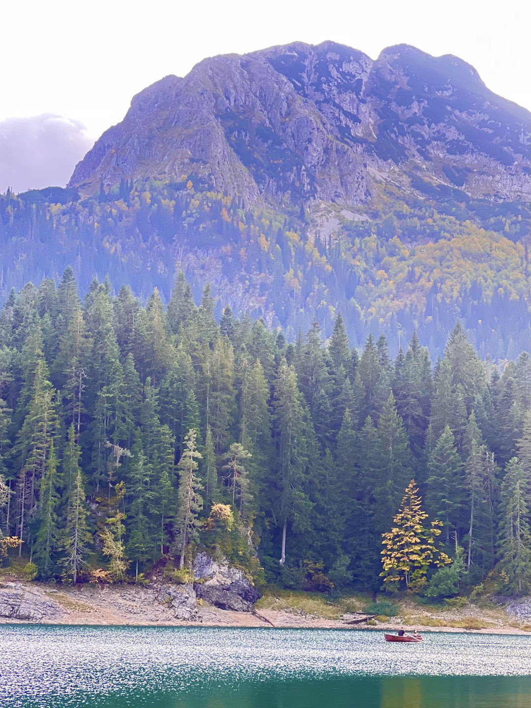 Очень красивые виды