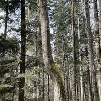 Фото отзыва 5: экскурсия ""