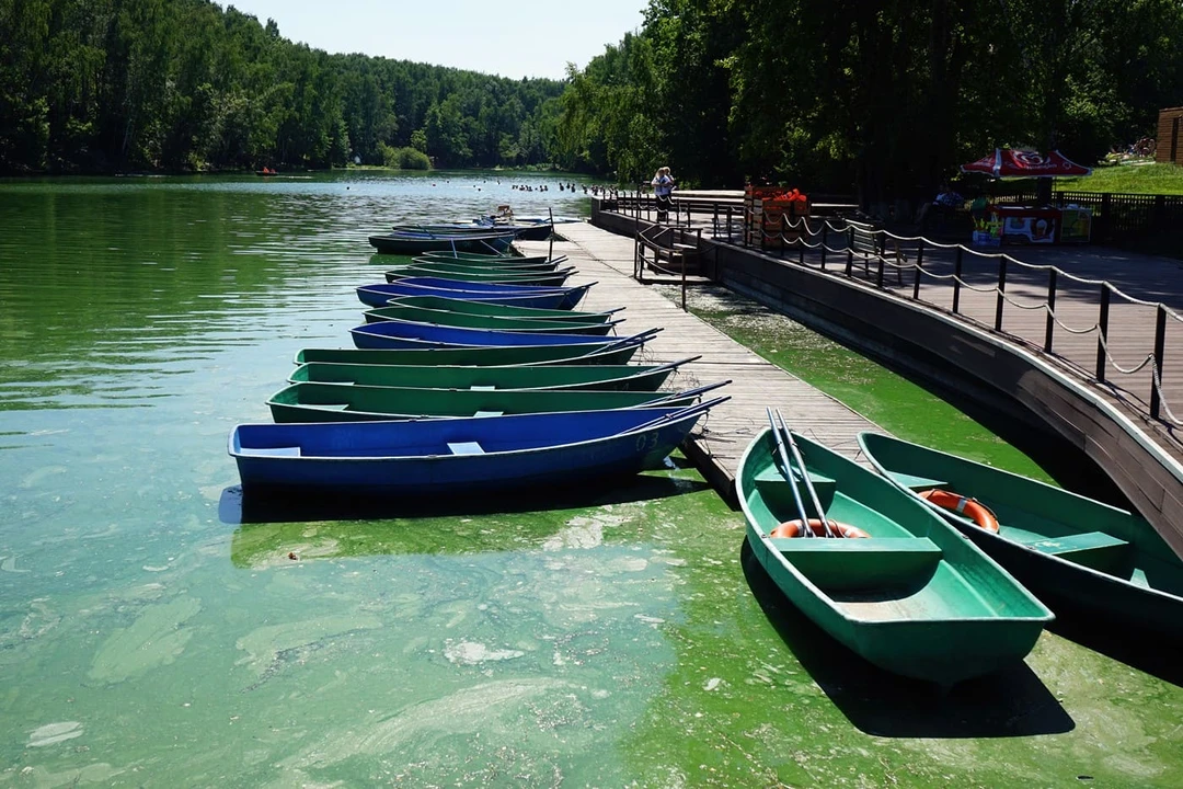 Парк «Тропарёво»