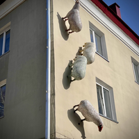 Фото отзыва 3: экскурсия "Горно-Алтайск: история и современность"