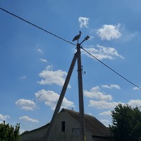Фото отзыва 3: экскурсия "Удивительные окрестности Бреста"