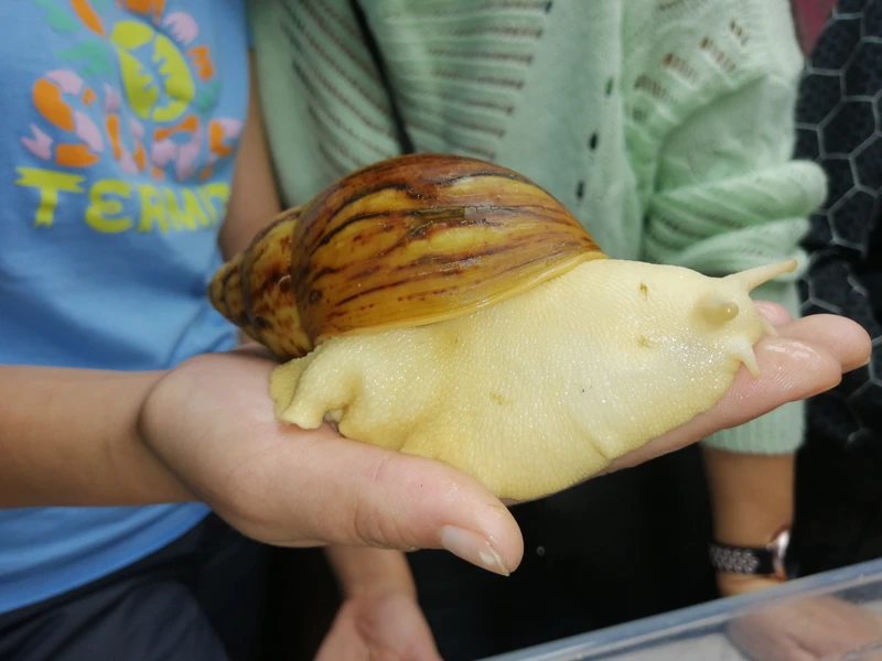 Гастропутешествие на улиточную ферму в Тюмени