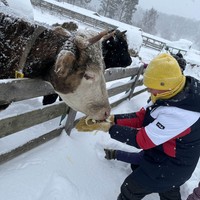 Фото отзыва 1: экскурсия "Тула: 1 день на семейной ферме"