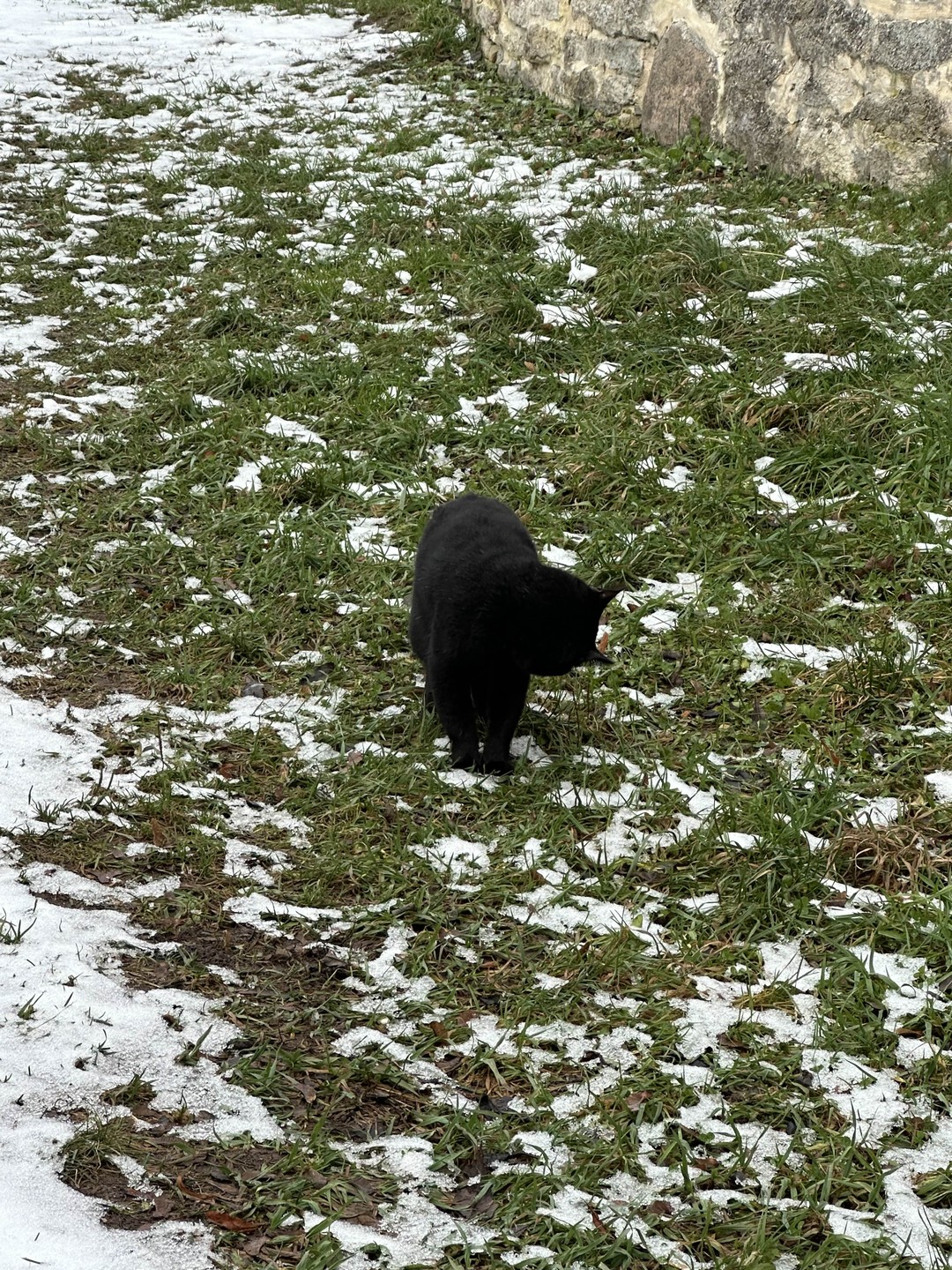 Всем, кто хочет знать «откуда есть пошла земля русская», поможет прекрасный гид Даниил, который прекрасно осведомлён об этом