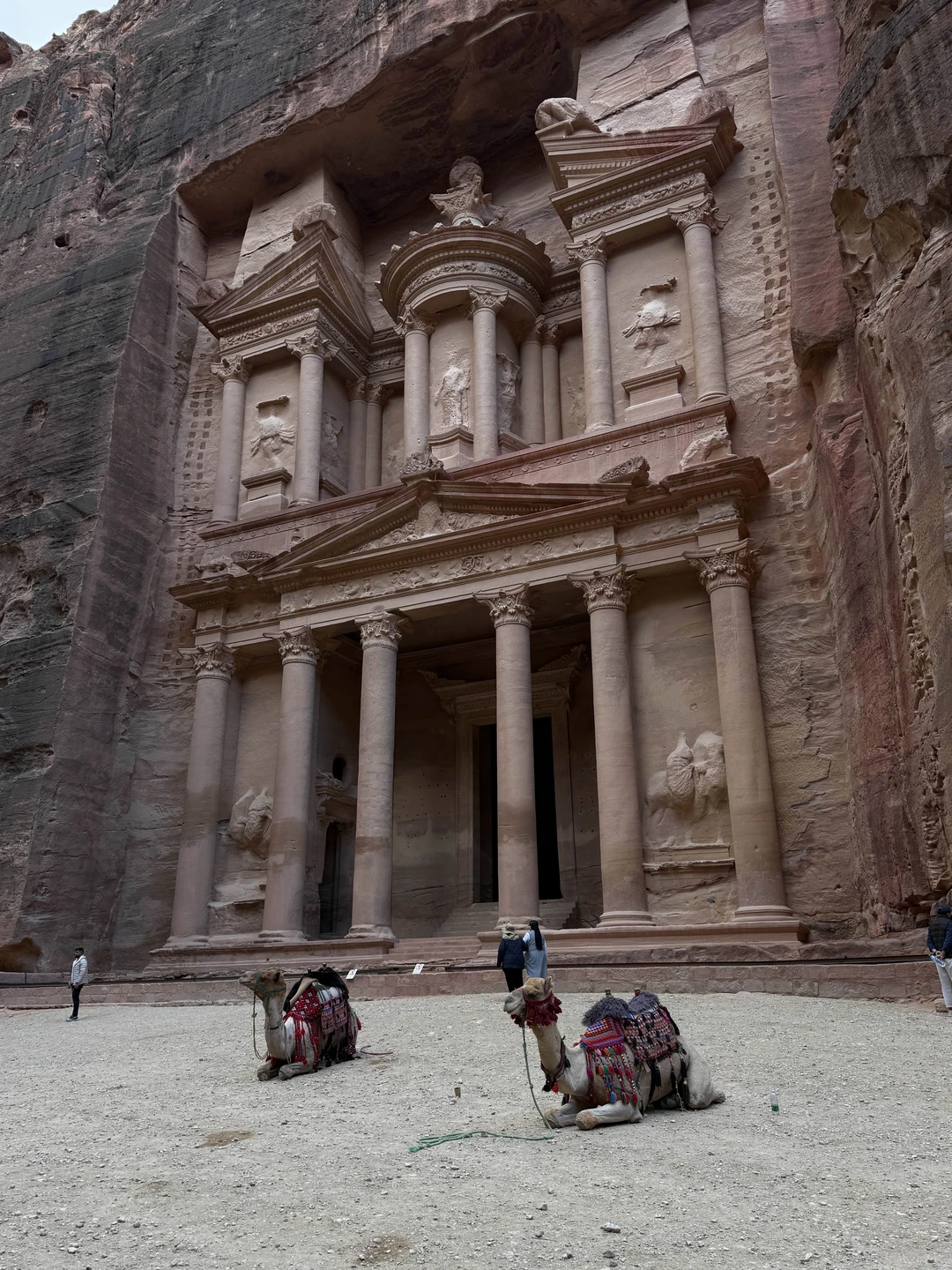 Поездка в Петру с гидом Саидом стала настоящим открытием! Великолепная организация, интересные рассказы и дружелюбная атмосфера