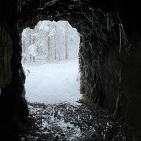 Фото отзыва 2: экскурсия "Погружение в Карелию: из Петрозаводска в Медвежьегорск"