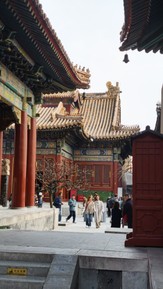 Фото отзыва 1: экскурсия ""