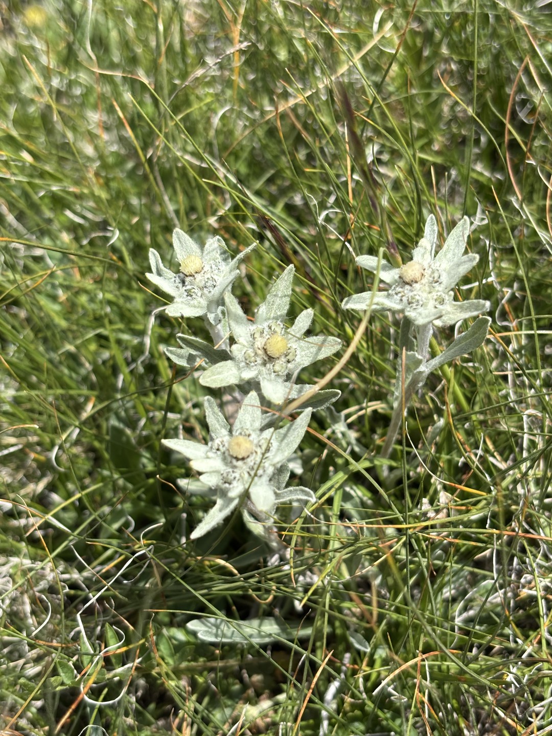 Великолепная во всех отношениях экскурсия, отличная погода, замечательные места и классный гид! Все получилось на 5 с плюсом!!!