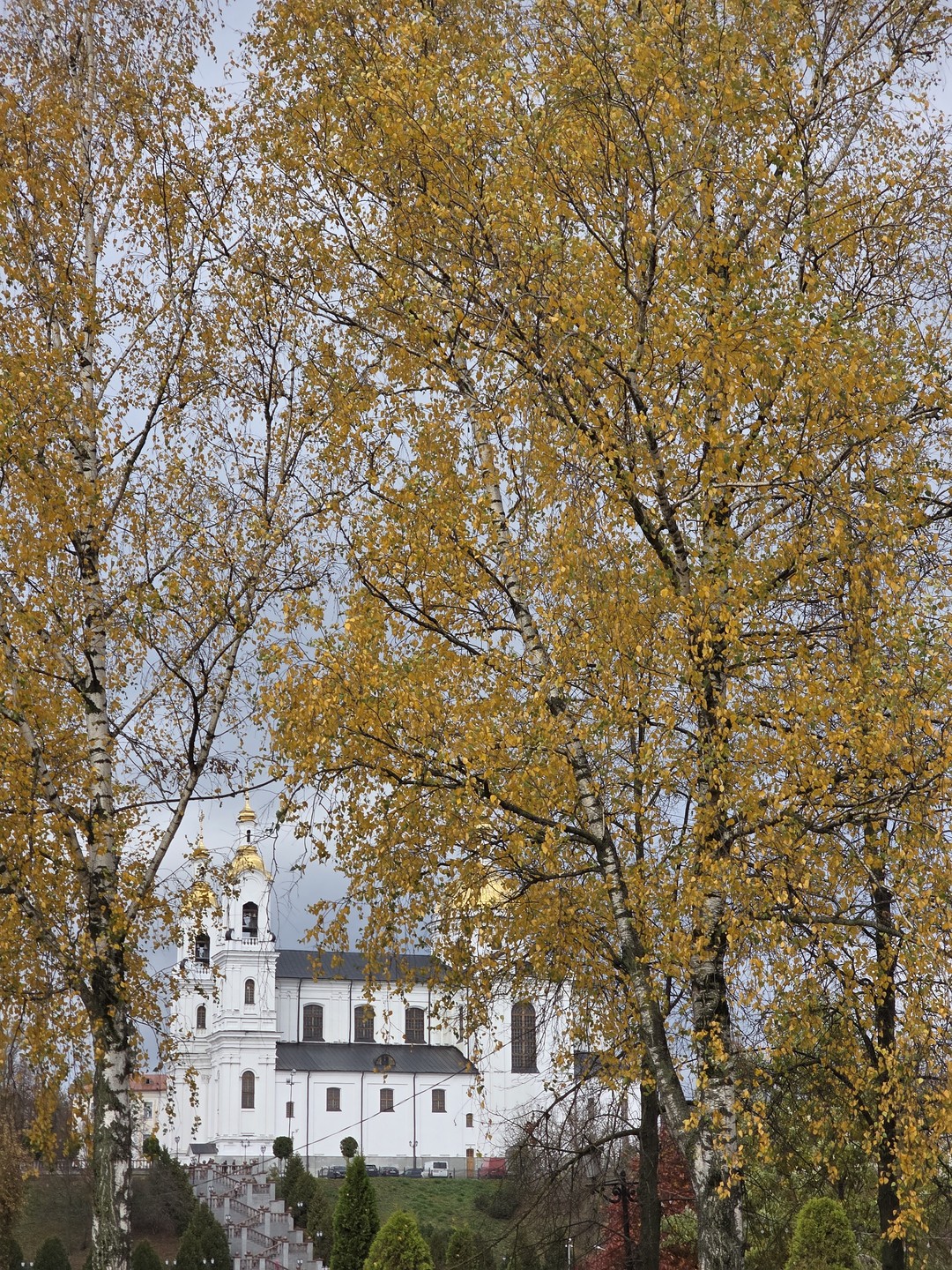 Здравствуй, Витебск (Зураб)