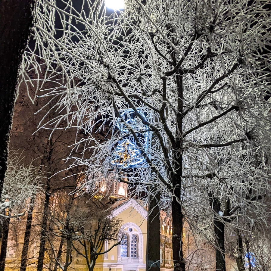 Пушкин: прогулка вокруг Колонистского пруда