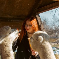 Фото отзыва 2: экскурсия "Шемаханская царица и пушистое очарование альпак — из Баку"