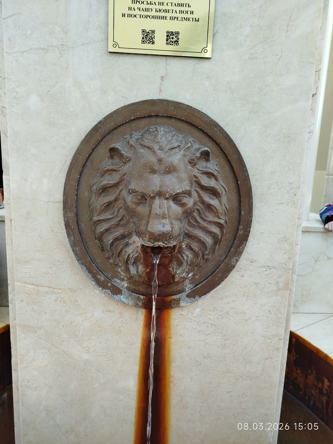 Спасибо Катерине за чудесную экскурсию по Липецку! Маршрут комфортный, истории — захватывающие, а подача — лёгкая