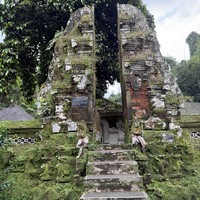 Фото отзыва 2: экскурсия "Сердце Бали: живописные плантации, парк птиц и краски Убуда"