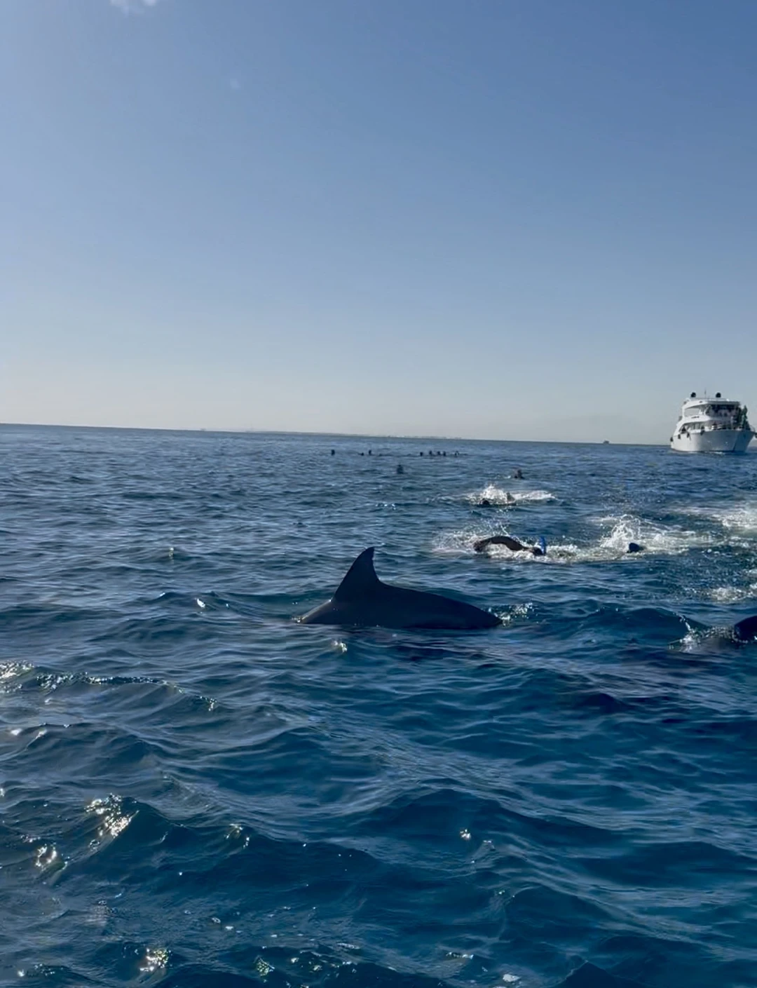 Это просто потрясающая экскурсия! Словами невозможно описать весь кайф который мы почувствовали!!! Мы не просто увидели
