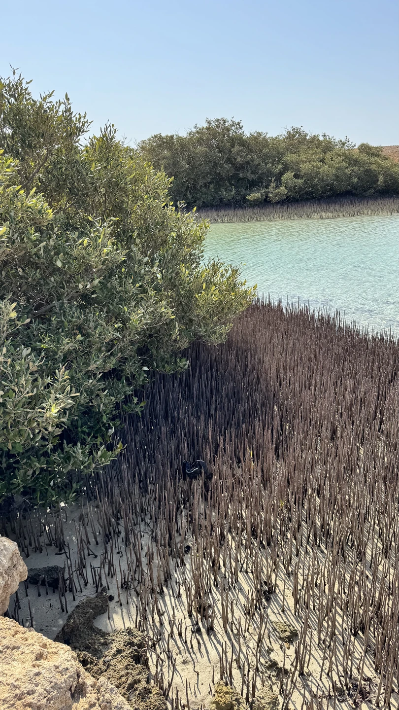 Сегодня посетили данную экскурсию! Мы в полном восторге, красивый подводный мир, очень интересный заповедник. Все красиво и необычно!