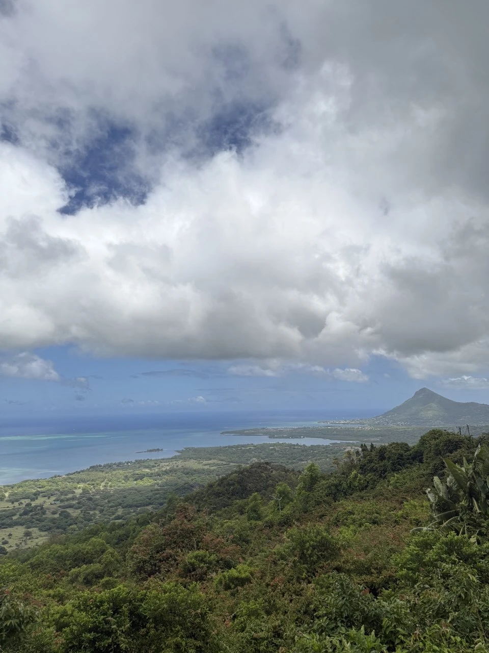 Чудеса природы на юге Маврикия (Елена)