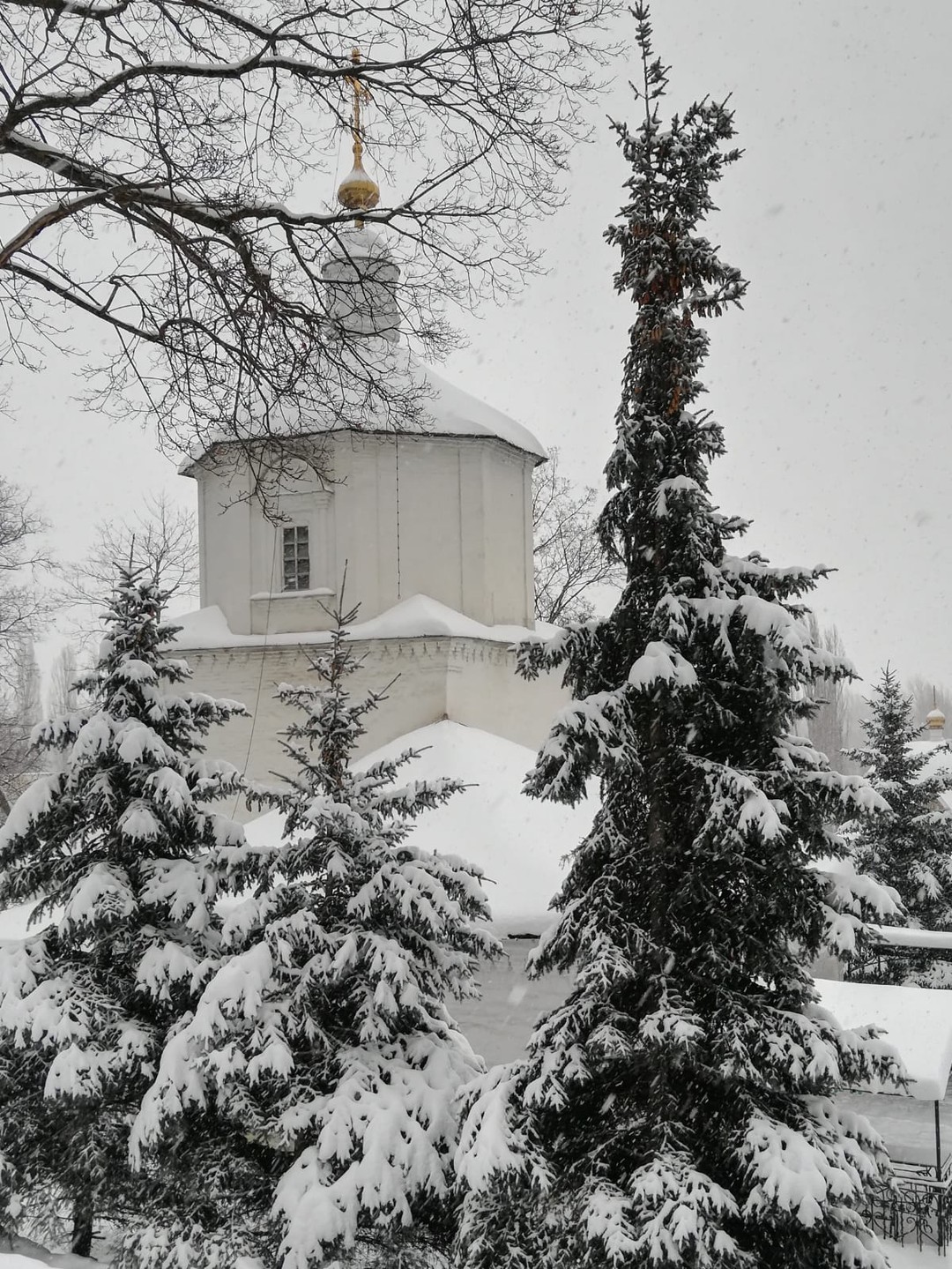 Липецкие этюды (Галина)
