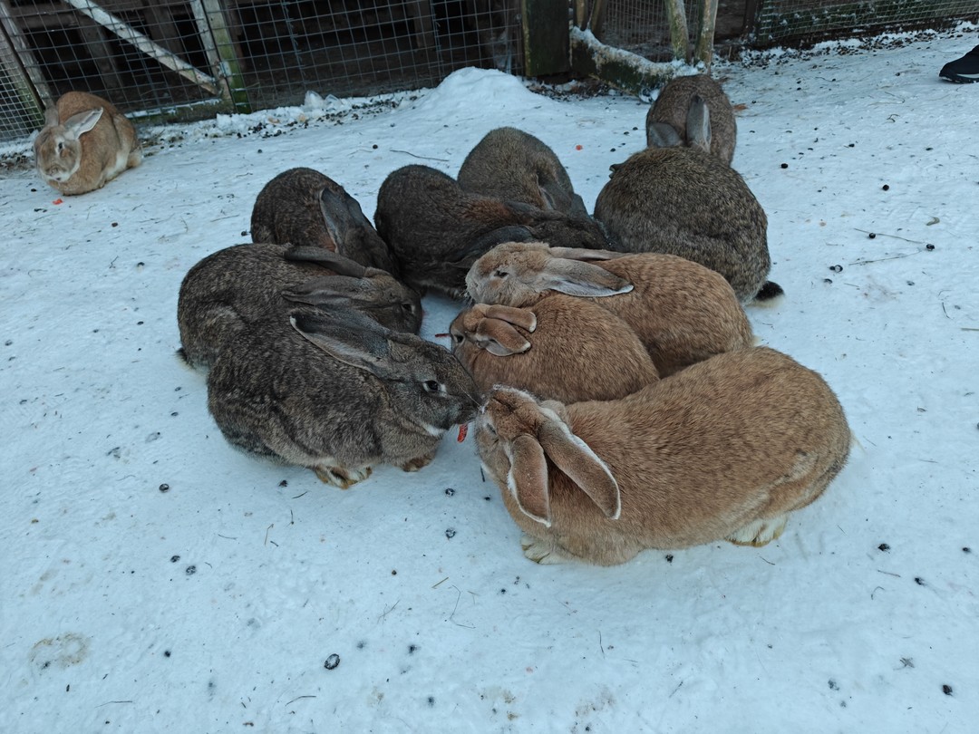 Экскурсия очень-очень понравилась. Дмитрий - прекрасный гид. Всё было хорошо организовано. Сначала посетили Этнодеревню, где покатались