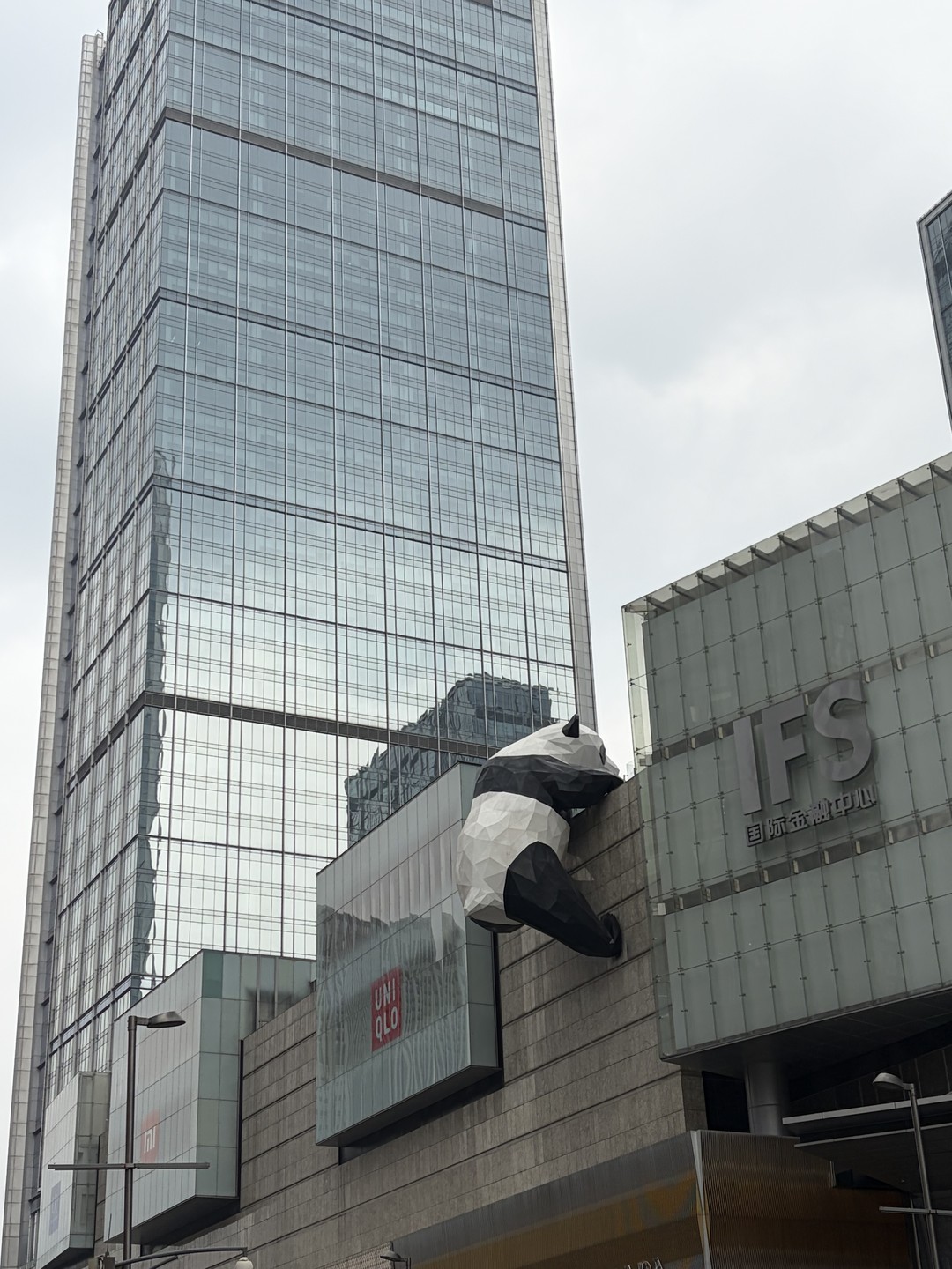 Гид Женя встретил нас утром в аэропорту