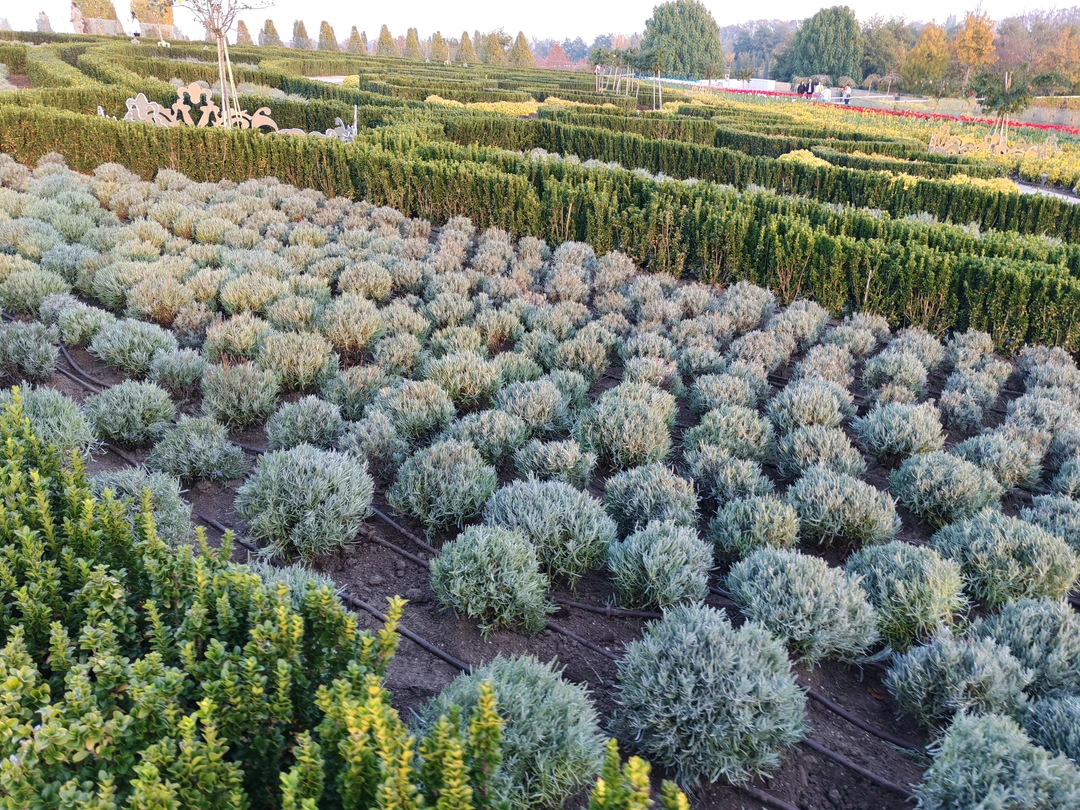 Экскурсия для тех, кто не был в Краснодаре