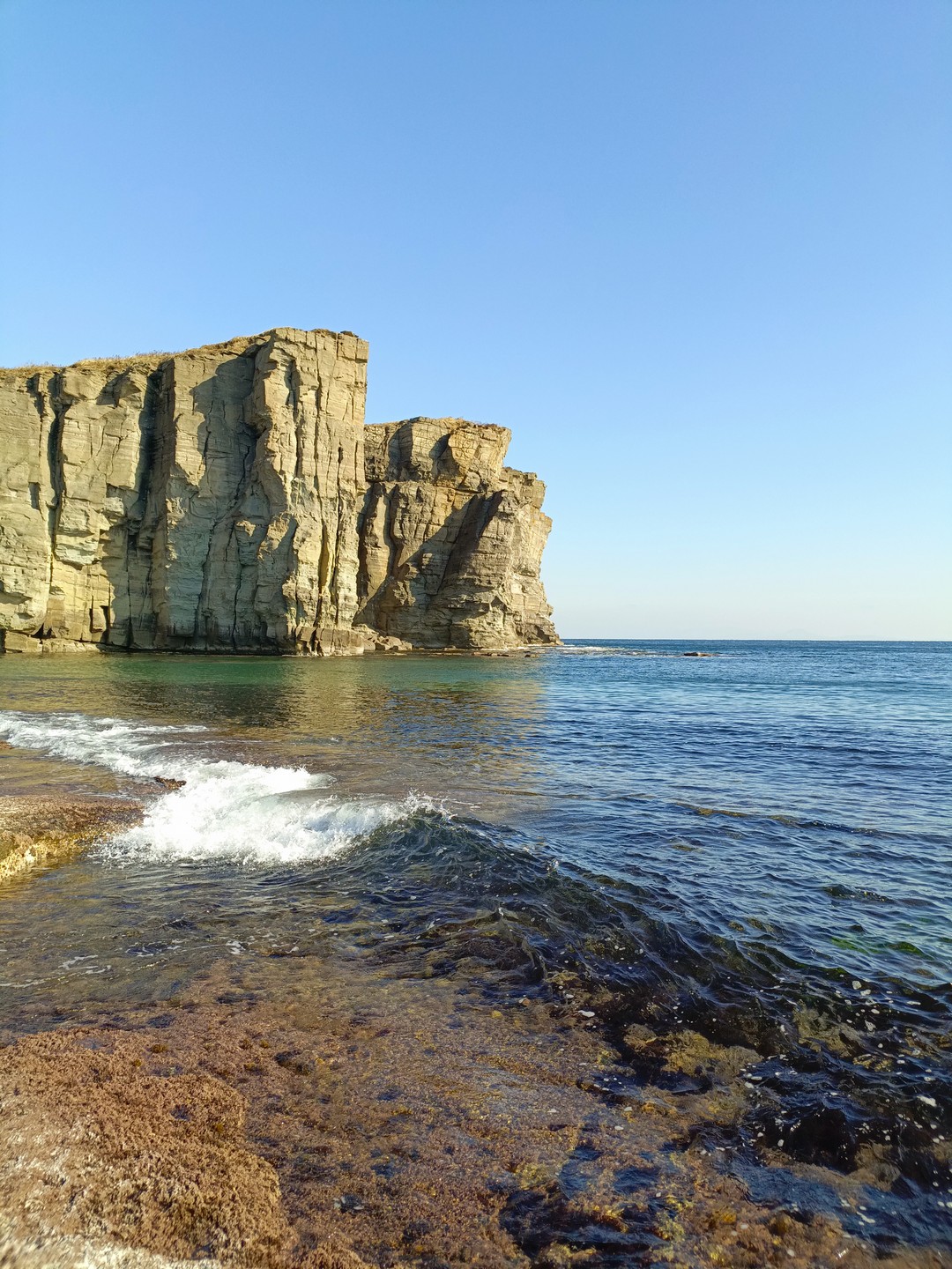 Сегодня впервые приехал во Владивосток и провел замечательный день на экскурсии по о. Русский вместе с