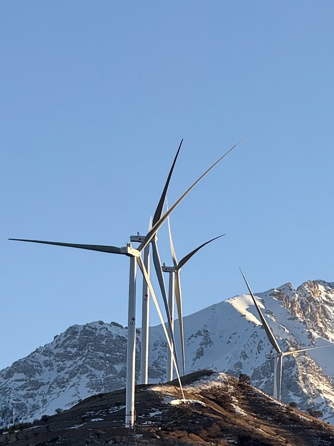 Альберт, спасибо Вам за чудесный, незабываемый день! Вы прекрасный рассказчик и очень бережный водитель. Нам было