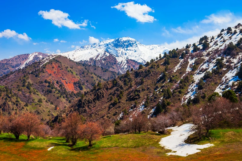 Восточные мотивы Узбекистана: Ташкент, Самарканд и Бухара, горы Тянь-Шаня и вкуснейшая кухня