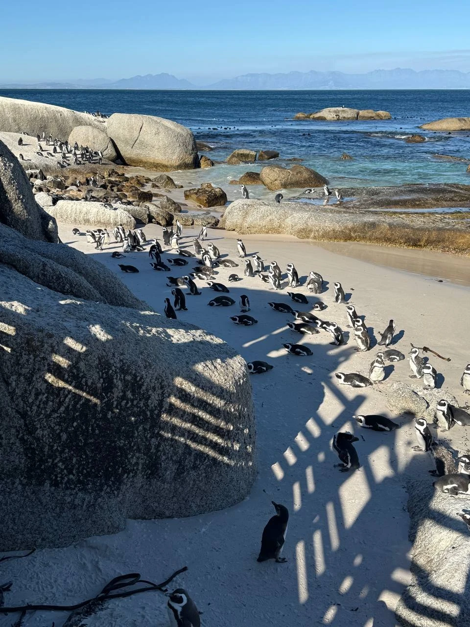 Эта экскурсия — идеальный способ за один день увидеть всё самое эпичное вокруг Кейптауна. От суровых