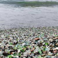 Фото отзыва 2: экскурсия "Экскурсия 3 в 1: сафари-парк + бухты Шамора и Стеклянная"