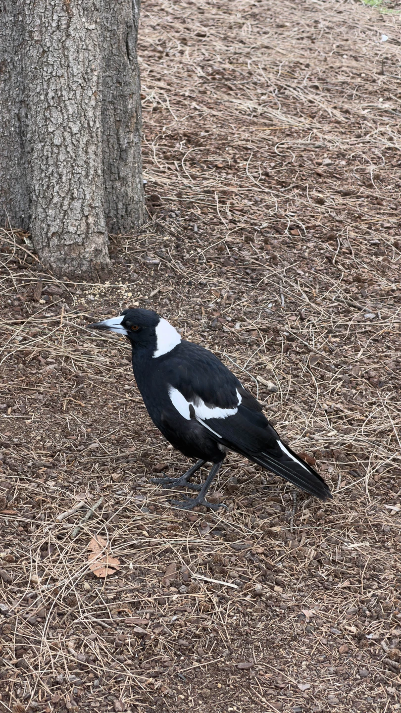 Экскурсия прошла на одном дыхании! Мы получили много рекомендаций по поводу отпуска, прогулялись красивым маршрутом, а