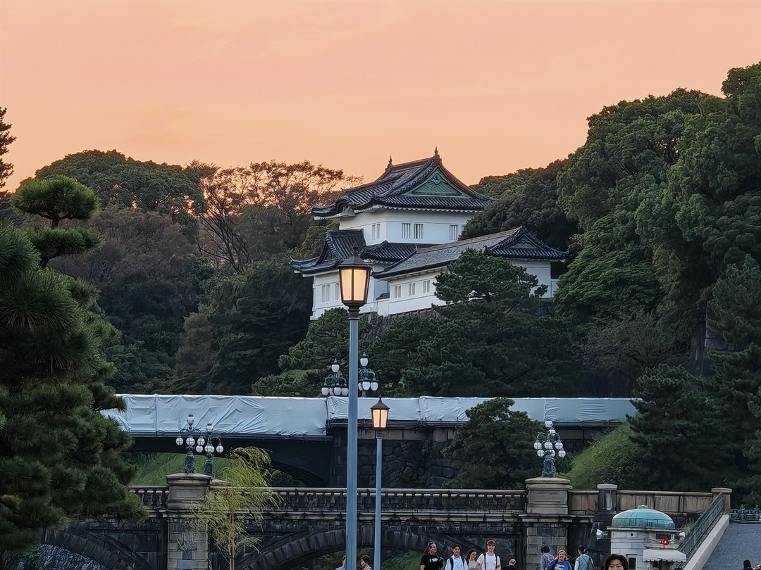 Экскурсию нам проводила гид Виктория. За довольно короткий промежуток времени с послеобеда мы побывали на Асакусе