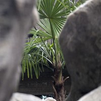 reviews img