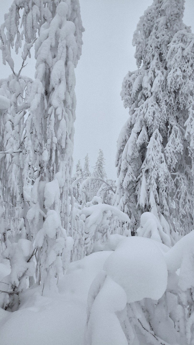 Виктор — хороший водитель, отличный рассказчик и просто разносторонний человек. Программа понравилась, зима в Пермском крае