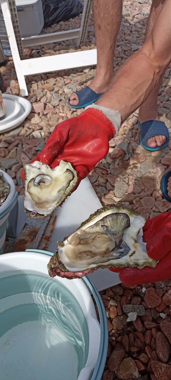 Релакс-путешествие по островам Японского моря - с гастрономической паузой (Ольга)