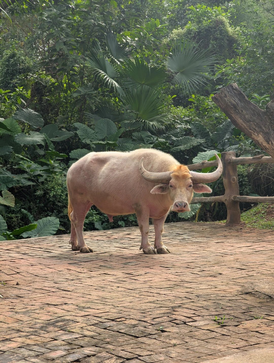 Ну поездка была не образовательная. Водитель, которые ехал с нами, хорошо говорил по русски, но это