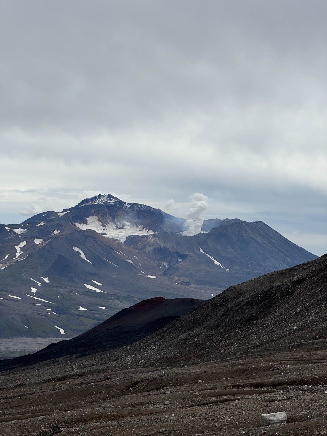 экскурсия была супер интересной и комфортной, мы были в восторге 😍