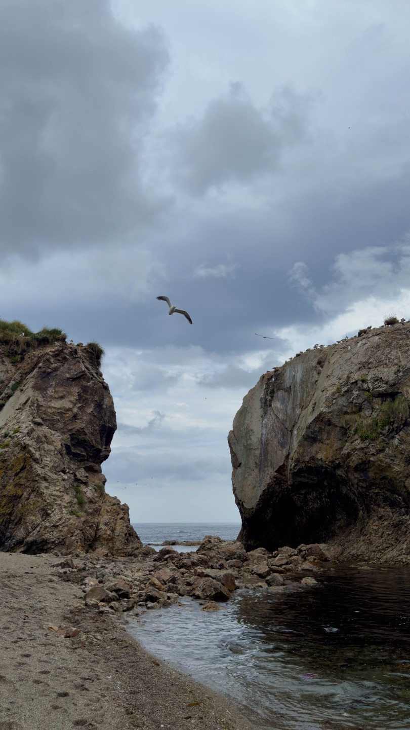 Мыс Великан и мыс Птичий: путешествие в мини-группе (Анна)