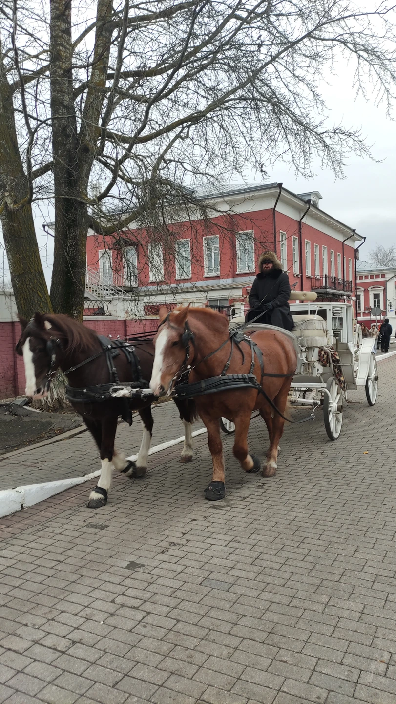 Потрясающая экскурсия! Нам не сильно повезло с погодой, но очень повезло с гидом Натальей. Понимая, что