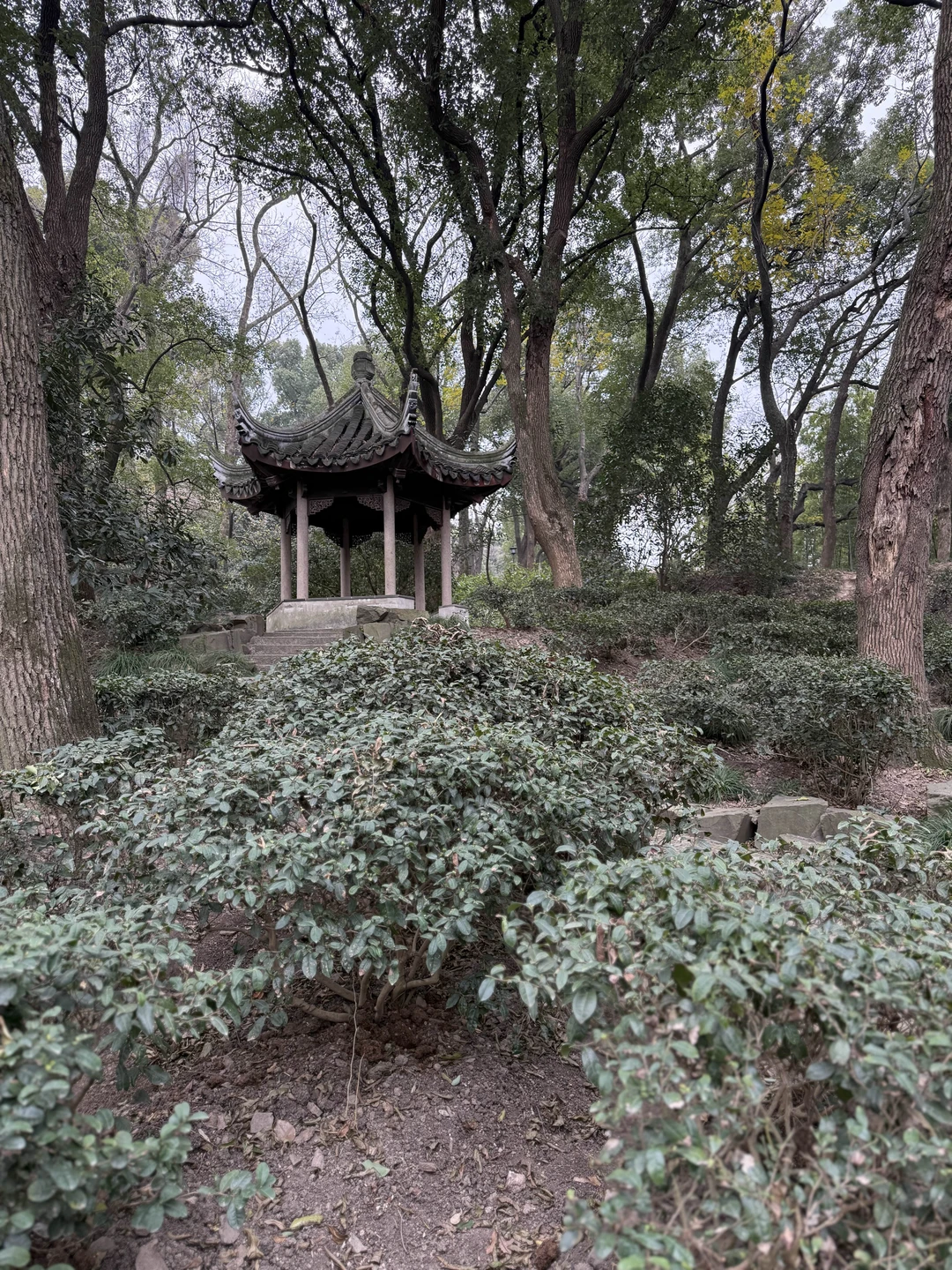 Понравилось!